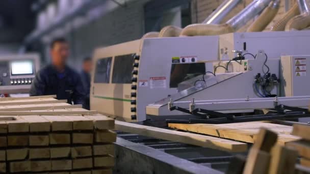Άνθρωποι Δουλεύουν Εργοστάσιο Ξυλουργικής Ένας Άντρας Δουλεύει Πριονιστήριο — Αρχείο Βίντεο