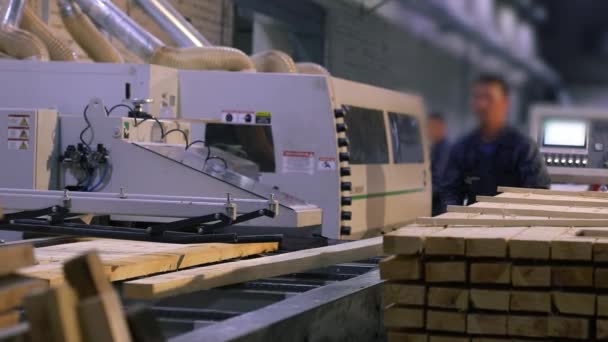 Man Works Sawmill Workflow Modern Sawmill Industrial Interior Woodworking Factory — Vídeos de Stock