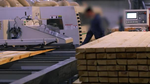 Man Works Sawmill Workflow Modern Sawmill Industrial Interior Woodworking Factory — Wideo stockowe