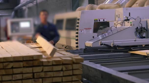 Люди Работают Деревообрабатывающей Фабрике Человек Работает Лесопилке — стоковое видео