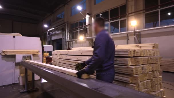 Человек Работает Лесопилке Рабочий Процесс Современной Лесопилке Внутренняя Деревообрабатывающая Фабрика — стоковое видео