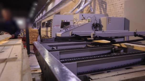 Человек Работает Лесопилке Рабочий Процесс Современной Лесопилке Внутренняя Деревообрабатывающая Фабрика — стоковое видео