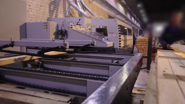 People Work Woodworking Factory Man Works Sawmill — Video