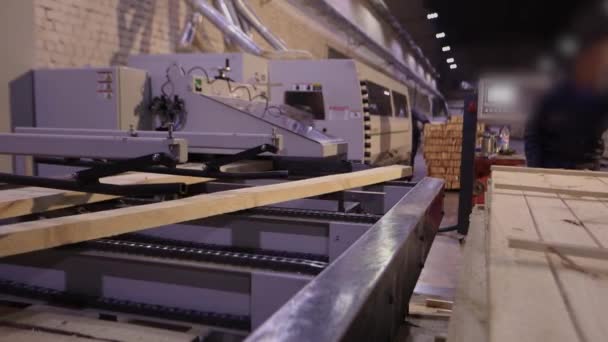 People Work Woodworking Factory Man Works Sawmill — Vídeo de Stock