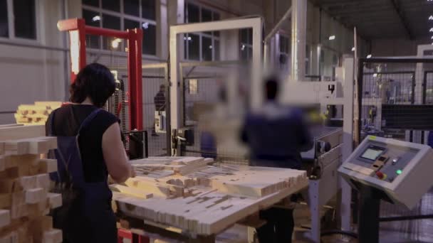 Women Work Woodworking Factory Women Work Furniture Factory Workflow Furniture — Vídeo de Stock