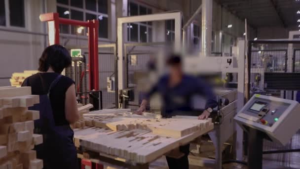 Женщины Работают Деревообрабатывающей Фабрике Женщины Работают Мебельной Фабрике Рабочий Процесс — стоковое видео