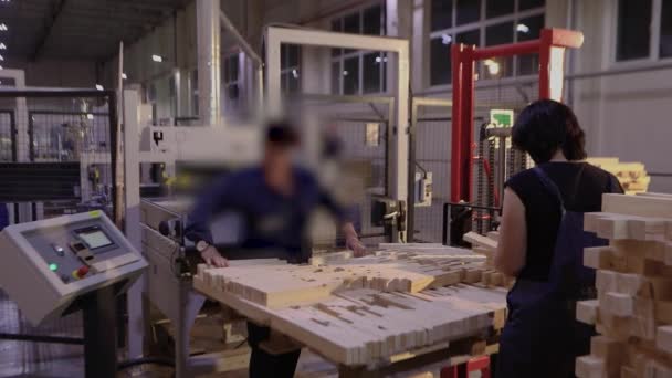 Women Work Furniture Factory Workflow Furniture Factory Sorting Furniture Bar — Stock video