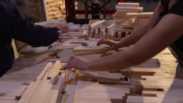 Жінки Працюють Деревообробній Фабриці Жінки Працюють Меблевій Фабриці Робочий Процес — стокове відео