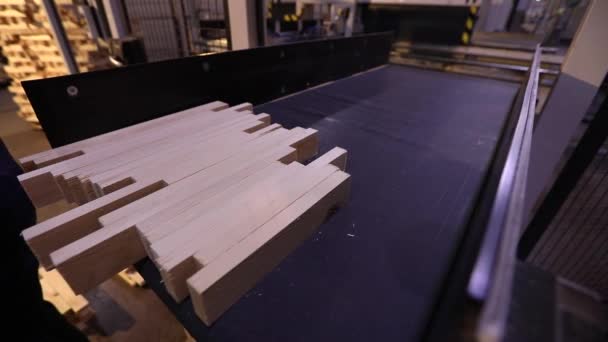 Мебельная Фабрика Мебельная Фабрика Современные Машины Деревообрабатывающей Фабрике — стоковое видео