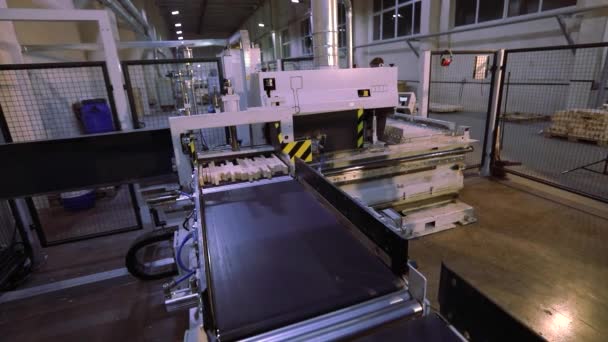 Machine Milling Ends Wooden Beam Production Furniture Panels Automated Line – Stock-video