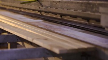 Mobilya fabrikasında çalışıyorum. Modern bir mobilya fabrikasında üretim süreci. Ahşap fabrikası.
