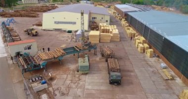 Vinci olan bir kütük kamyonu boşaltıyorum, kereste fabrikasında kütükleri boşaltıyorum, kereste fabrikasında çalışıyorum..