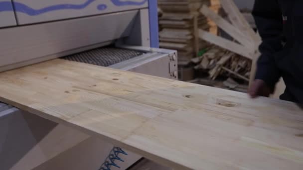Man Works Sawmill Workflow Modern Sawmill Industrial Interior Woodworking Factory — Video