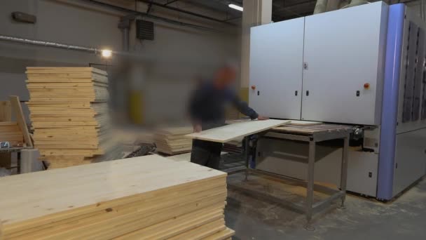 Man Works Sawmill Workflow Modern Sawmill Industrial Interior Woodworking Factory — Vídeo de Stock