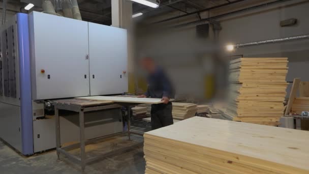 Wnętrze Przemysłowe Proces Pracy Fabryce Wyrobów Drzewnych Produkcja Mebli — Wideo stockowe