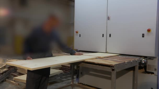 Man Works Sawmill Workflow Modern Sawmill Industrial Interior Woodworking Factory — ストック動画