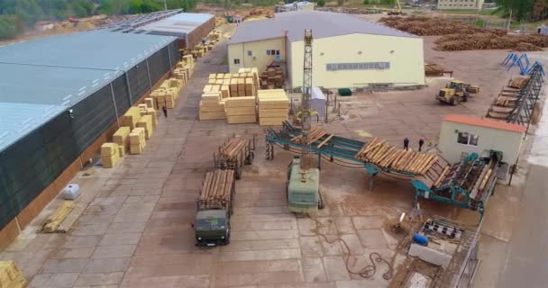 Automated Log Sorting Sawmill Aerial View Crane Unloads Logs Sorting — Video