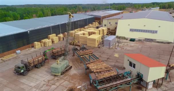Automated Log Sorting Sawmill Aerial View Crane Unloads Logs Sorting — Vídeo de Stock