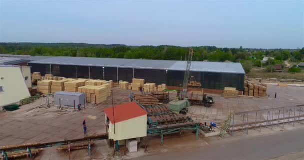 Modern Sawmill Aerial View Crane Unloads Logs Conveyor General View — Stock Video