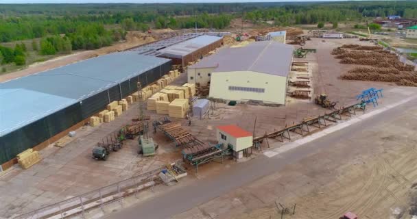 Work Process Sawmill Aerial View Modern Sawmill View Top Active — Stok video