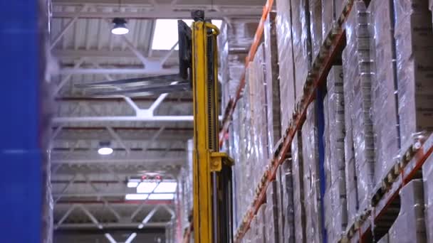 Ειδικός Εξοπλισμός Στην Αποθήκη Του Εργοστασίου Σύγχρονοι Φορτωτές Μια Μεγάλη — Αρχείο Βίντεο