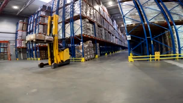 Modern Forklift Large Warehouse Forklift Cargo Warehouse Industrial Interior — Wideo stockowe
