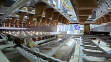 Dondurma üretimi. Otomatik dondurma üretimi. Otomatik dondurma üretim hattı.