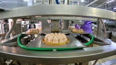 Taşıma bandında pasta yapma süreci. Modern şekerleme fabrikası. Otomatik taşıma hattı üzerinde pasta.
