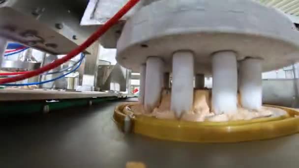 Automatikus Fagylaltgyártás Automatikus Szállítószalag Jégkrémtorta Készítéséhez Jégkrém Szépen Kipréselve Csövekből — Stock videók