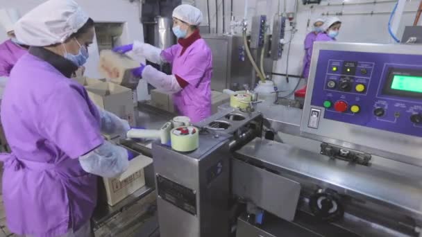 Рабочие Кладут Мороженое Коробки Женщины Упаковывают Мороженое Коробки Заводской Рабочий — стоковое видео