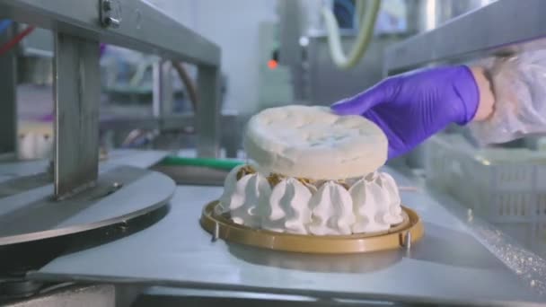 Tortagyártás Cukrászda Gyár Szállítószalagon Dolgozók Sütit Sütnek Süteménykészítési Folyamat — Stock videók