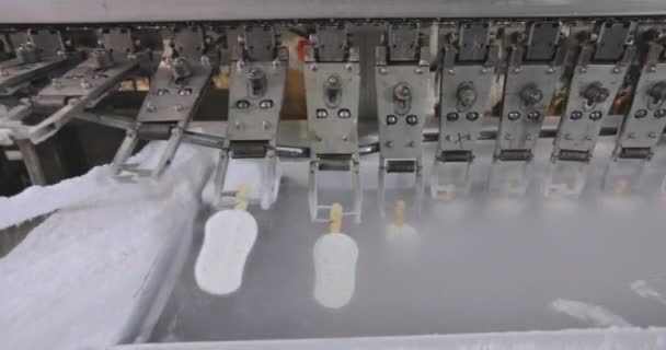 Freezing Ice Cream Factory Automatic Production Ice Cream Ice Cream — Stok video