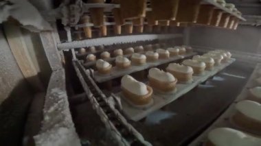 Dondurma üretimi. Otomatik dondurma üretimi. Otomatik dondurma üretim hattı.