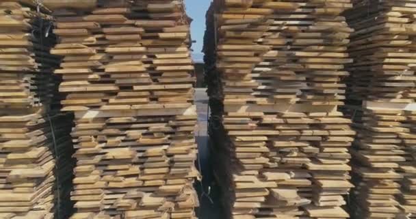 Drying Wood Naturally Removal Water Wood Sun Wind Drying Wood — Stock Video