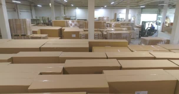Μεγάλη Αποθήκη Τελικά Προϊόντα Στο Εργοστάσιο Αποθήκη Κουτιά Εργοστάσιο Ένα — Αρχείο Βίντεο