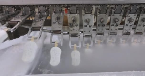 Freezing Ice Cream Factory Automatic Production Ice Cream Ice Cream — Video