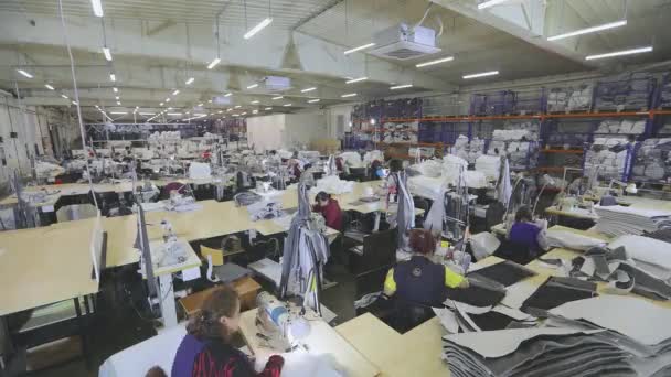 Many Seamstresses Work Garment Factory Working Process Garment Factory Large — Vídeo de Stock