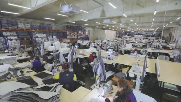 Многие Швеи Работают Швейной Фабрике Рабочий Процесс Швейной Фабрике Большая — стоковое видео