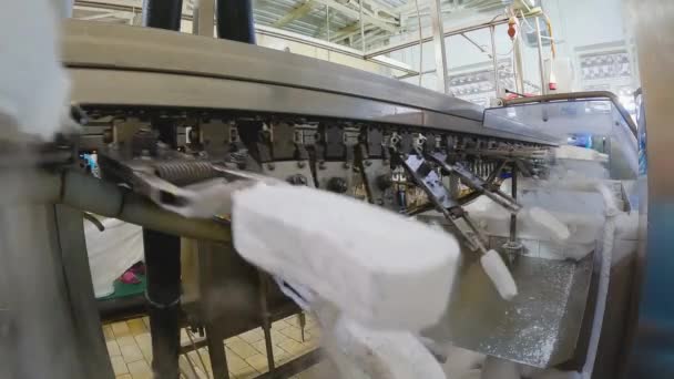 Мороженое Конвейере Процесс Производства Мороженого Конвейер Фабрике Мороженого — стоковое видео