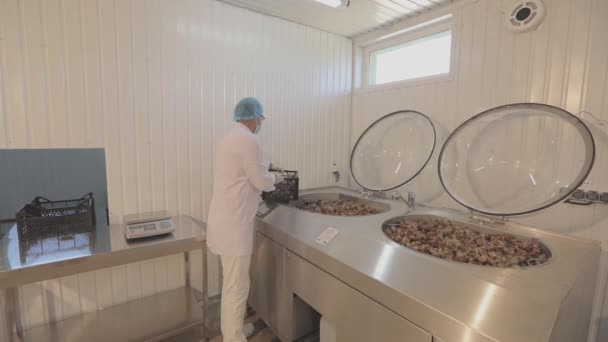 カタツムリ農場のカタツムリからのムチンの抽出 カタツムリ農場の研究室 カタツムリの養殖場でのムチンの抽出 — ストック動画