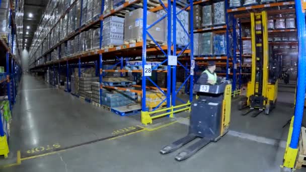 倉庫でフォークリフトの仕事 現代のフォークリフトは倉庫で働く 倉庫内の特別な機器の仕事 工業用インテリア — ストック動画