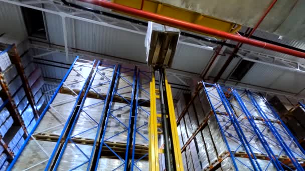 Modern Forklift Large Warehouse Forklift Cargo Warehouse Industrial Interior — Video Stock