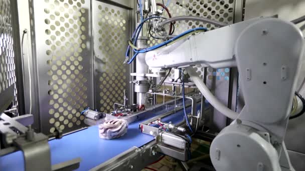 冰淇淋的生产 冰淇淋的自动化生产 自动冰淇淋生产线 — 图库视频影像