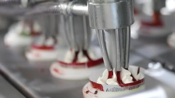 Ice Cream Production Automated Production Ice Cream Automated Ice Cream — Stock Video