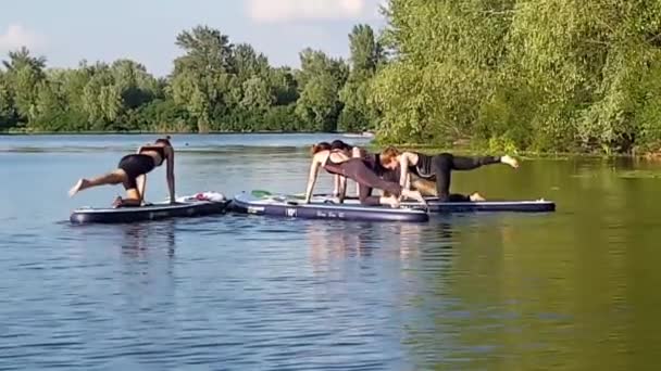 Girls Sports Exercises Sup Board Physical Exercises Sup Board Sports — Stockvideo