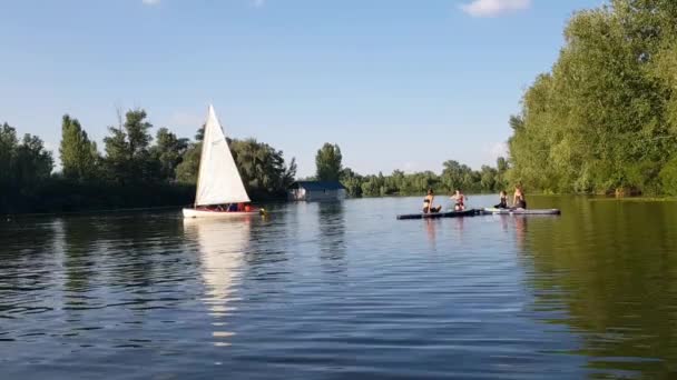 Girls Sports Exercises Sup Board Physical Exercises Sup Board Sports — Αρχείο Βίντεο