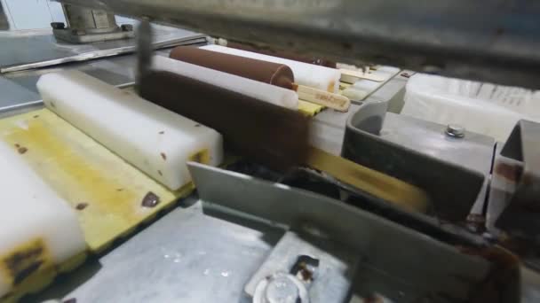 Αυτόματη Μεταφορική Γραμμή Αυτόματη Παραγωγή Παγωτού Σύγχρονο Εργοστάσιο Παγωτού — Αρχείο Βίντεο