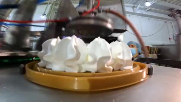 Automatyczna Produkcja Lodów Automatyczny Przenośnik Tworzenia Tortu Lodowego Lody Ładnie — Wideo stockowe