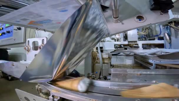 Producţia Îngheţată Producție Automată Înghețată Linie Producție Automată Înghețată — Videoclip de stoc