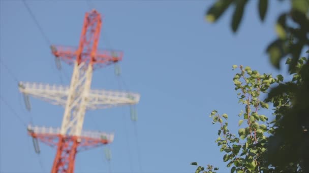 Mavi Gökyüzüne Karşı Güç Hattı Modern Yüksek Voltaj Kulesi Mavi — Stok video